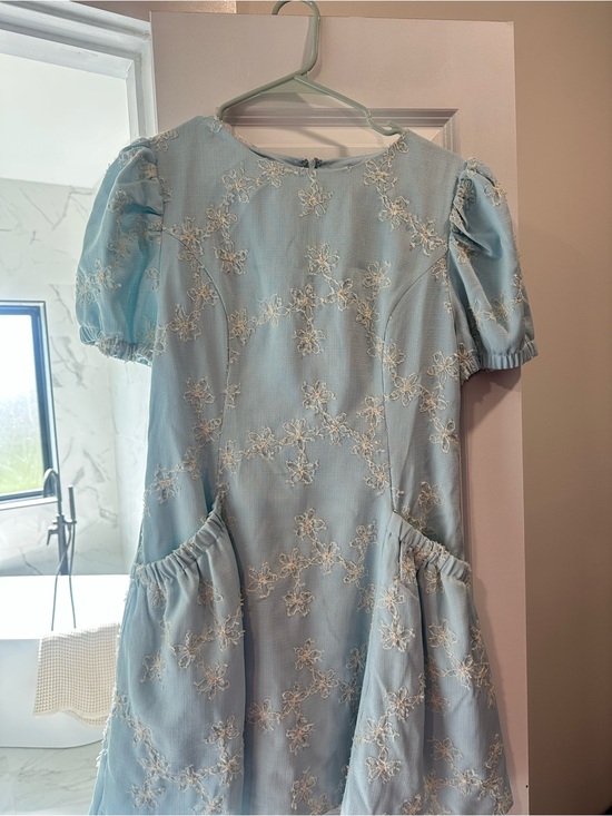 Darling State of Mind Boutique Dresses & Skirts - Womens Light Blue Puff Sleeve Floral Embroidered Dress